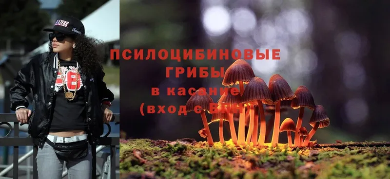 Псилоцибиновые грибы Magic Shrooms  Новопавловск 